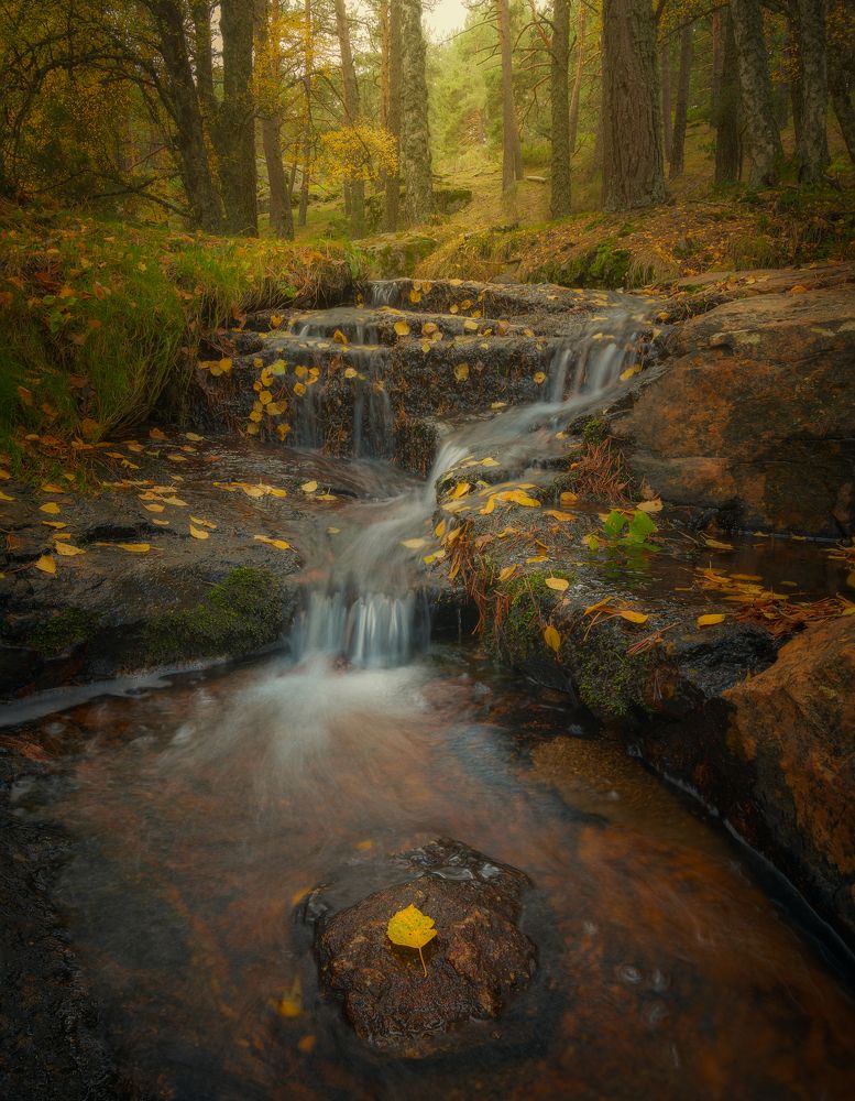 Photograph by Carlos Hernández Martínez