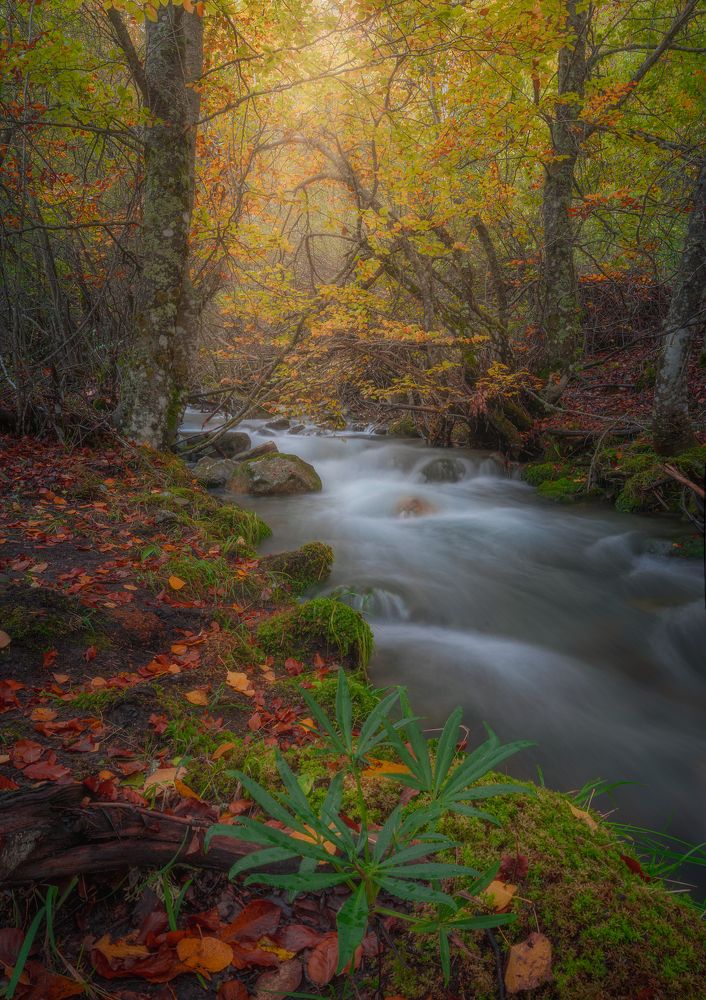 Photograph by Carlos Hernández Martínez