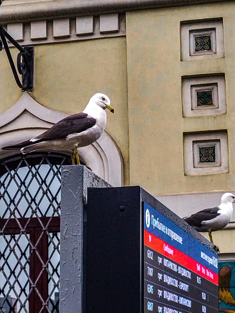 Photograph by Алексей Егоров