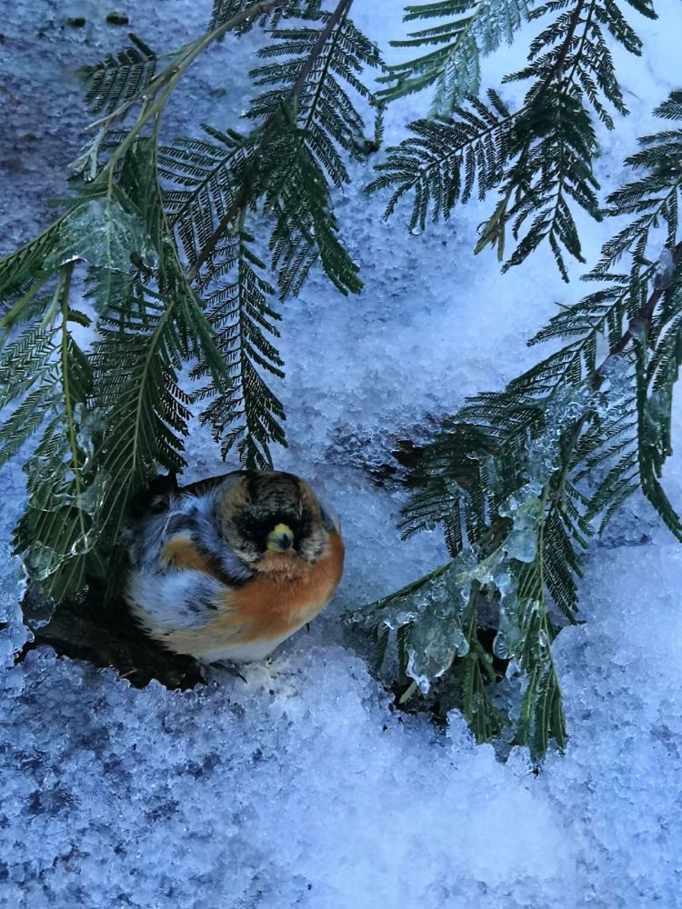 Photograph by Куделенко Оксана