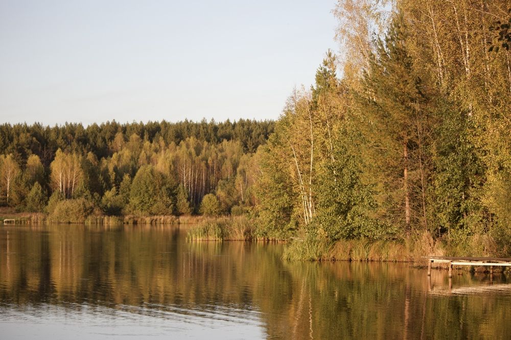 Photograph by Лариса Белашова