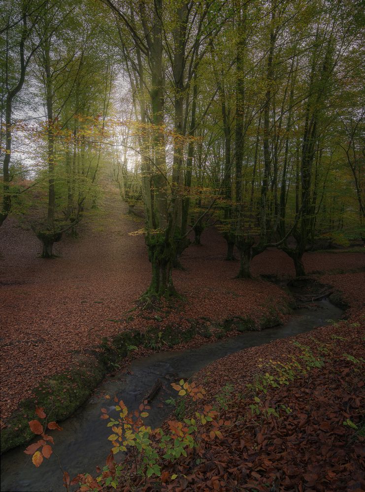 Photograph by Carlos Hernández Martínez