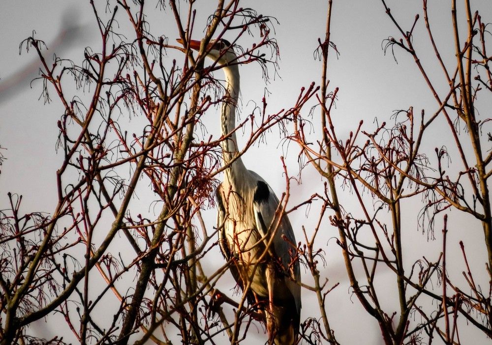 Photograph by Olga Degtjareva