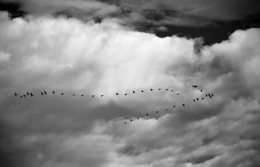 Photograph by Olga Degtjareva