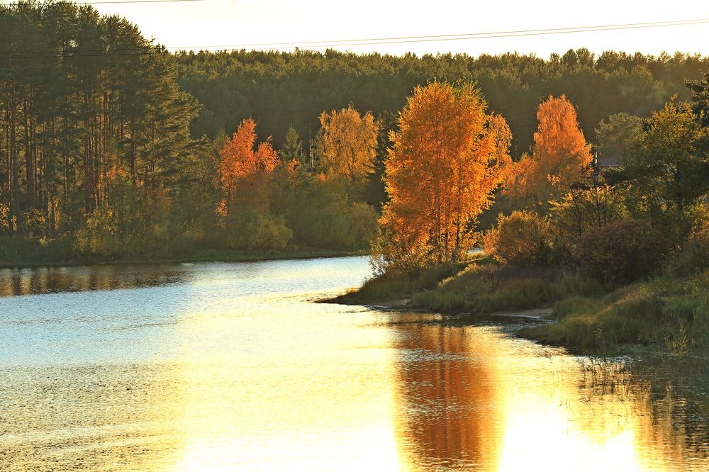 Фотография автора Юрий Кетель