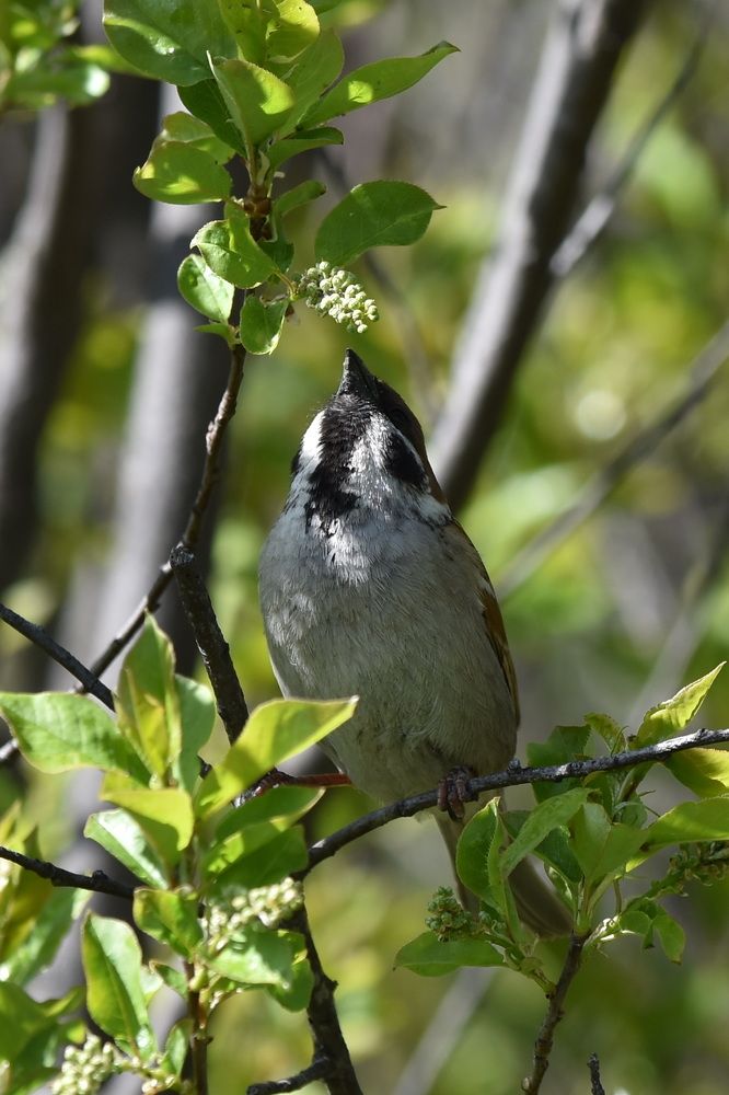 Photograph by Andrey