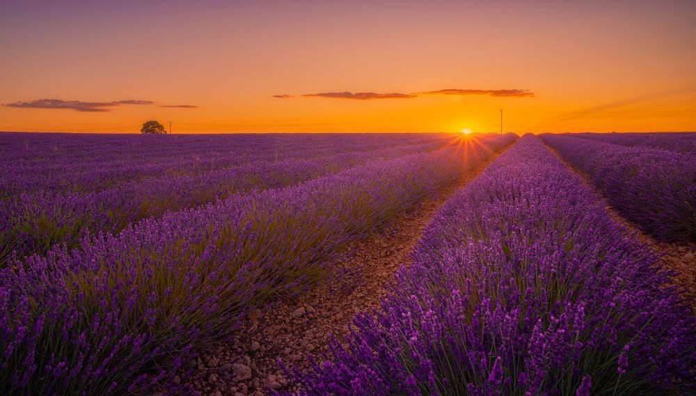 Photograph by Carlos Hernández Martínez