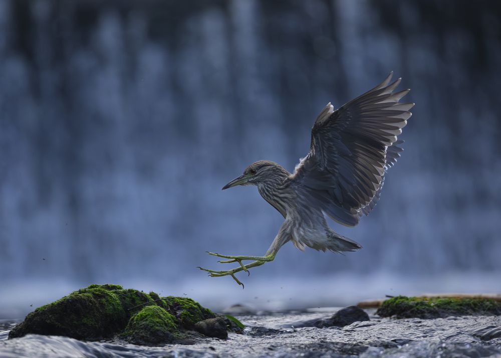 Photograph by Radosław Makowczyński