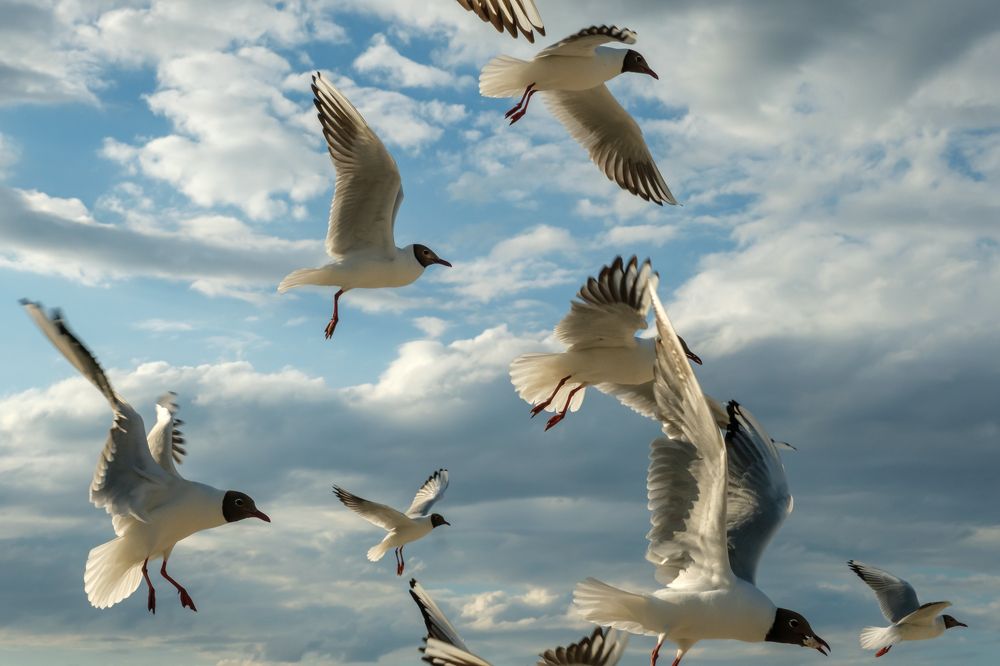 Photograph by Александр Творогов