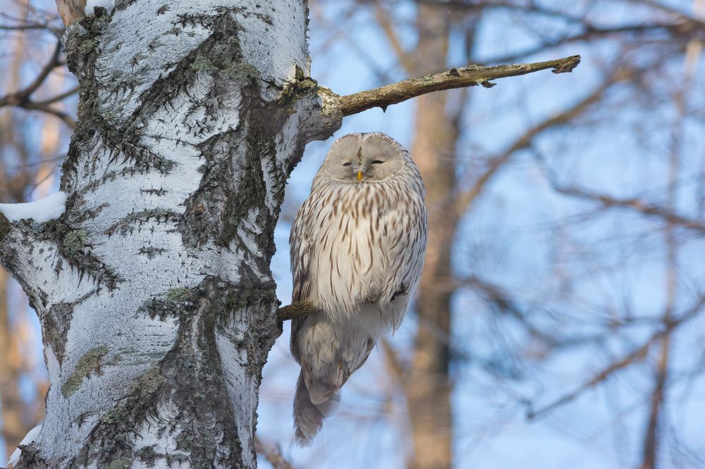 Photograph by Воронов Денис