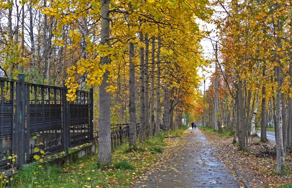 Осень в Апатитах.