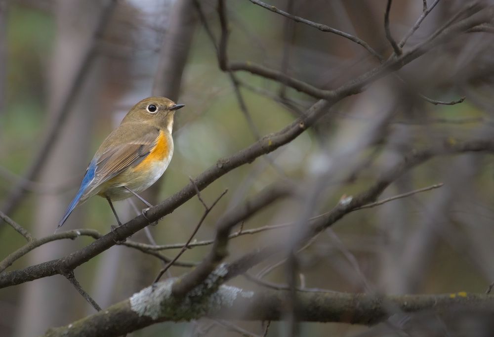 Photograph by Воронов Денис