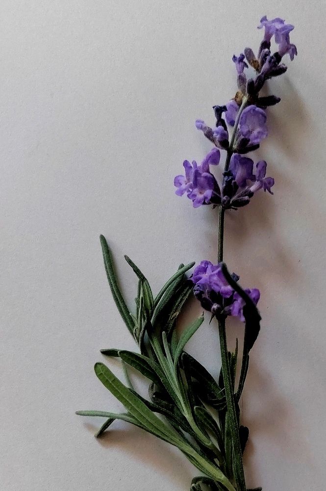 Photograph by Куделенко Оксана