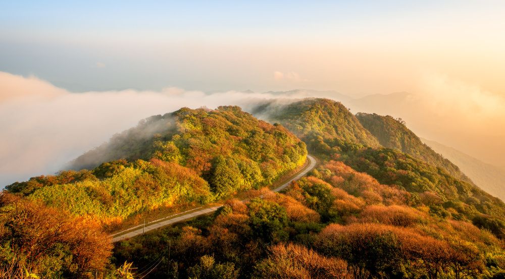 Phia Oak Peak in Fall Sunset, Cao Bang, Vietnam