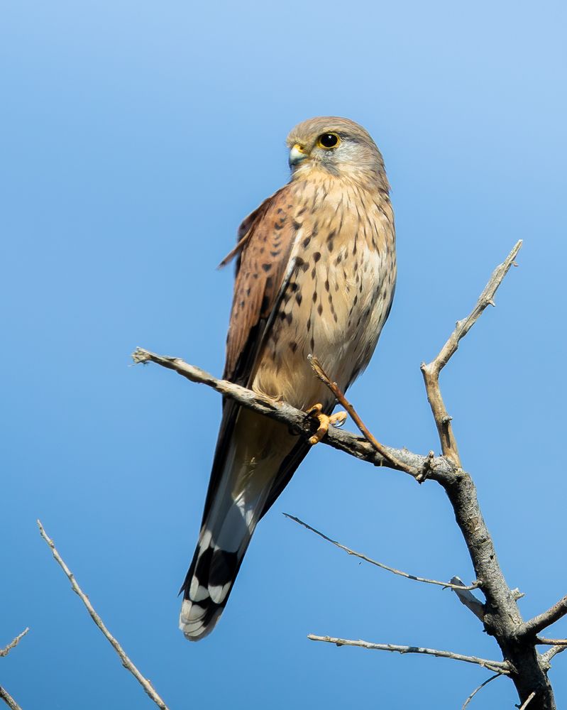 Photograph by Филипп Циплёнков