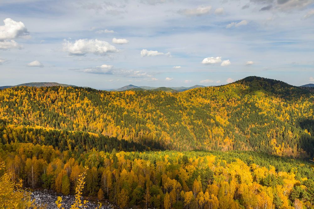 Photograph by Игорь Боголюбов