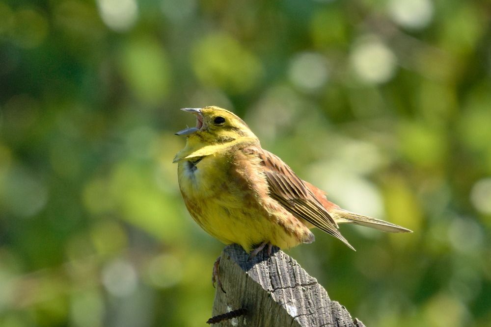 Photograph by Ольга Якубова