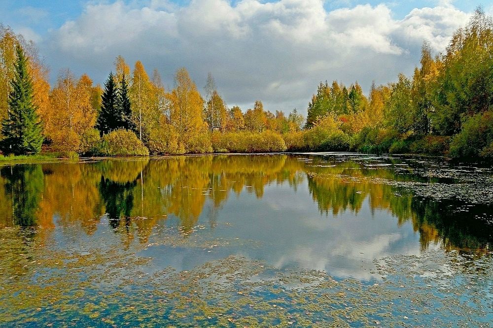 Photograph by Виктор Решетников