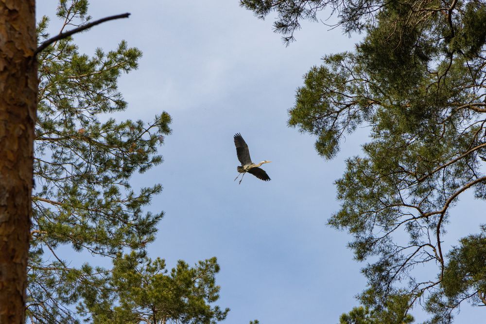 Photograph by Сергей Щербаков