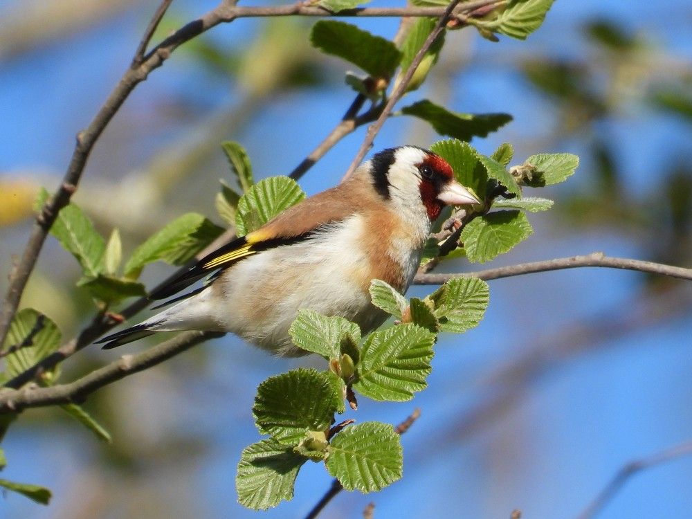 Photograph by Владимир Джерихов
