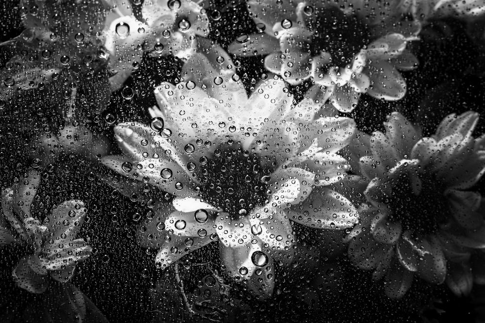 Photograph by Павлович Анатолий