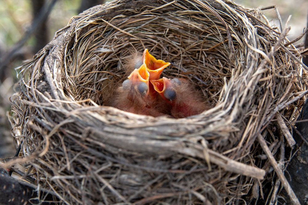 Photograph by Ирина Рыжова