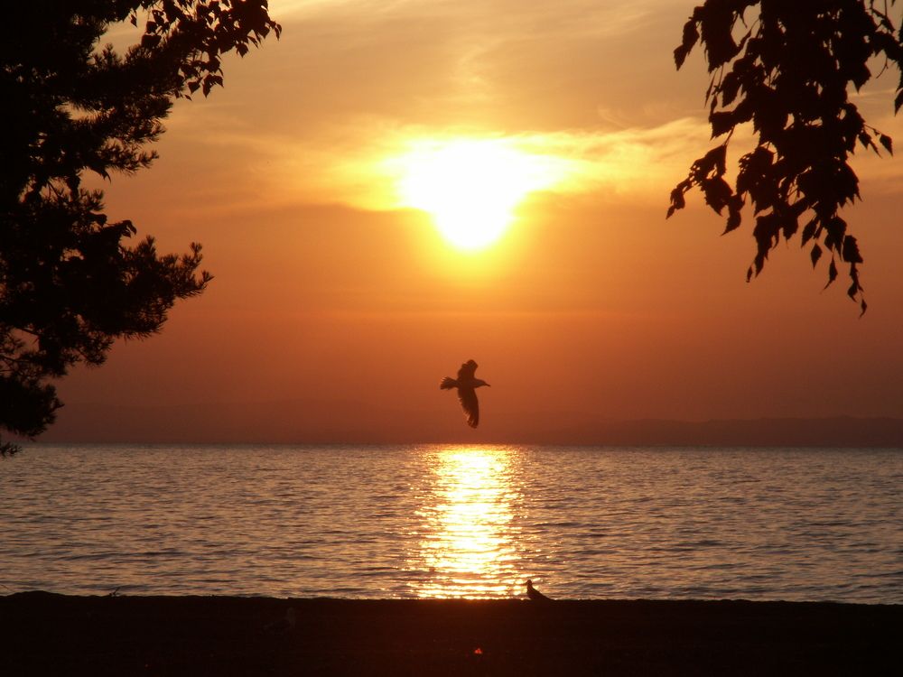 Photograph by Ирина Рыжова