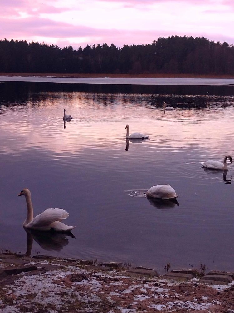 Фотография автора Елена Рузинова