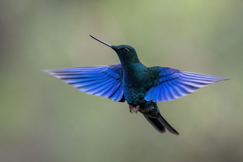 Photograph by Fernando Burgalin Sequeira