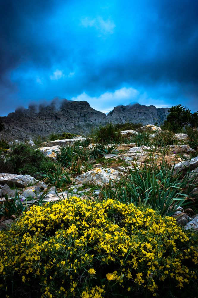 Photograph by Amine Be Romdhane