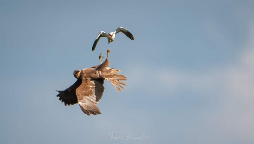 Photograph by Алекс Гейнер