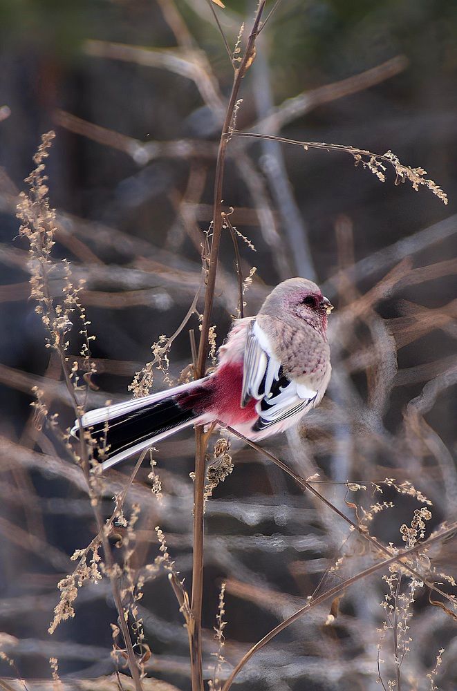 Photograph by Виктория Лобанова