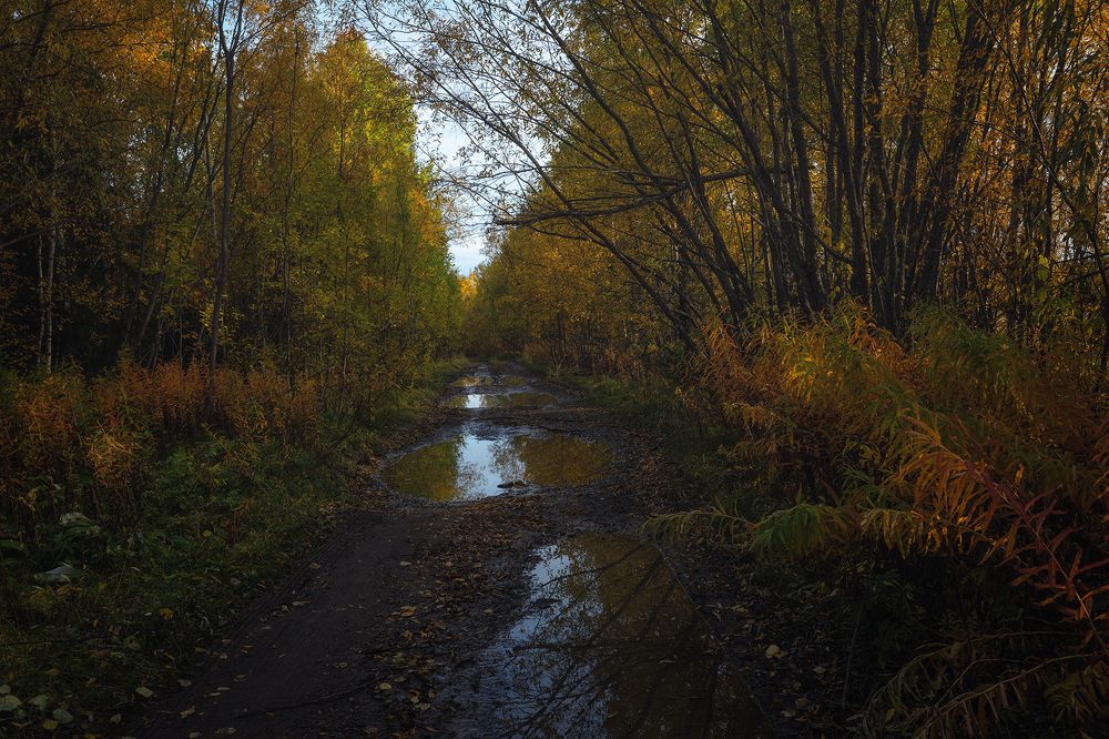 Photograph by Сергей Фомин