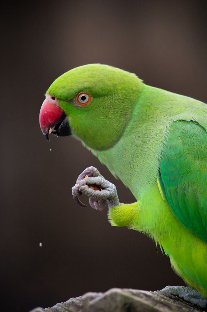 Photograph by Kaustav Ghosh