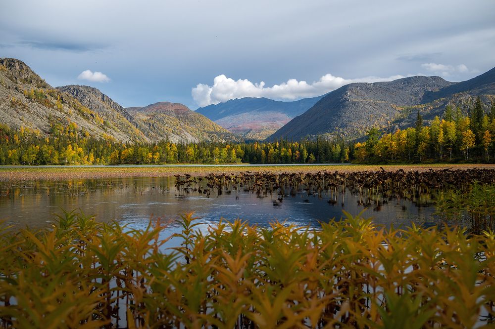 Photograph by Сергей Фомин