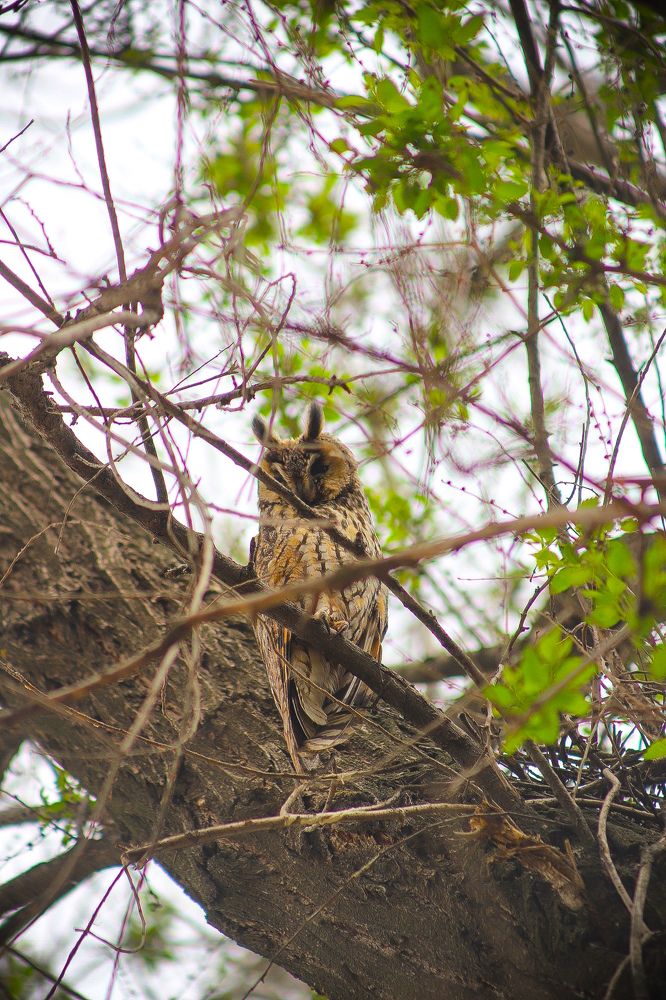 Photograph by Элеонора Конева