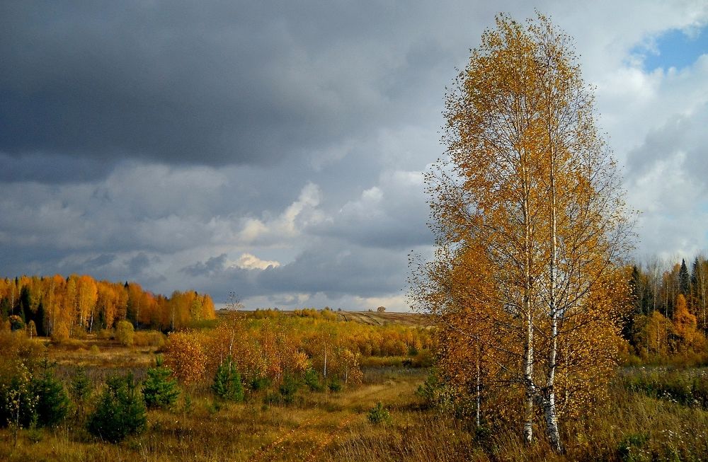 Photograph by Виктор Решетников