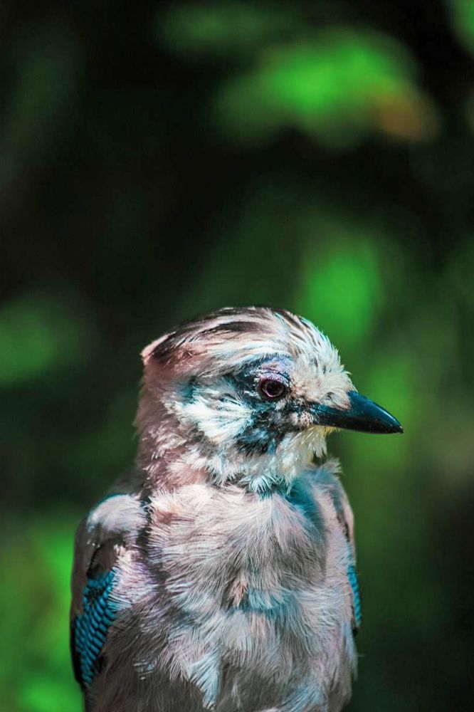 Photograph by Элеонора Конева