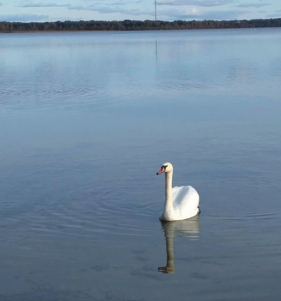 Фотография автора Елена Рузинова