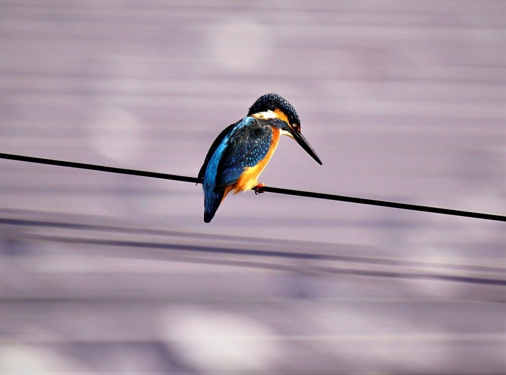 Photograph by Людмила Бутова