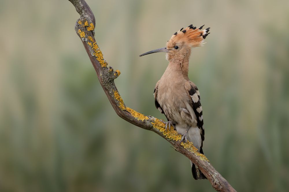 Photograph by Dejan Zakic