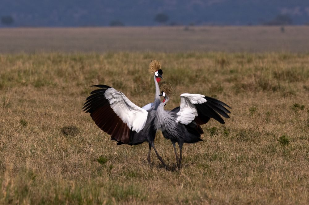 Photograph by Bevzenko Roman