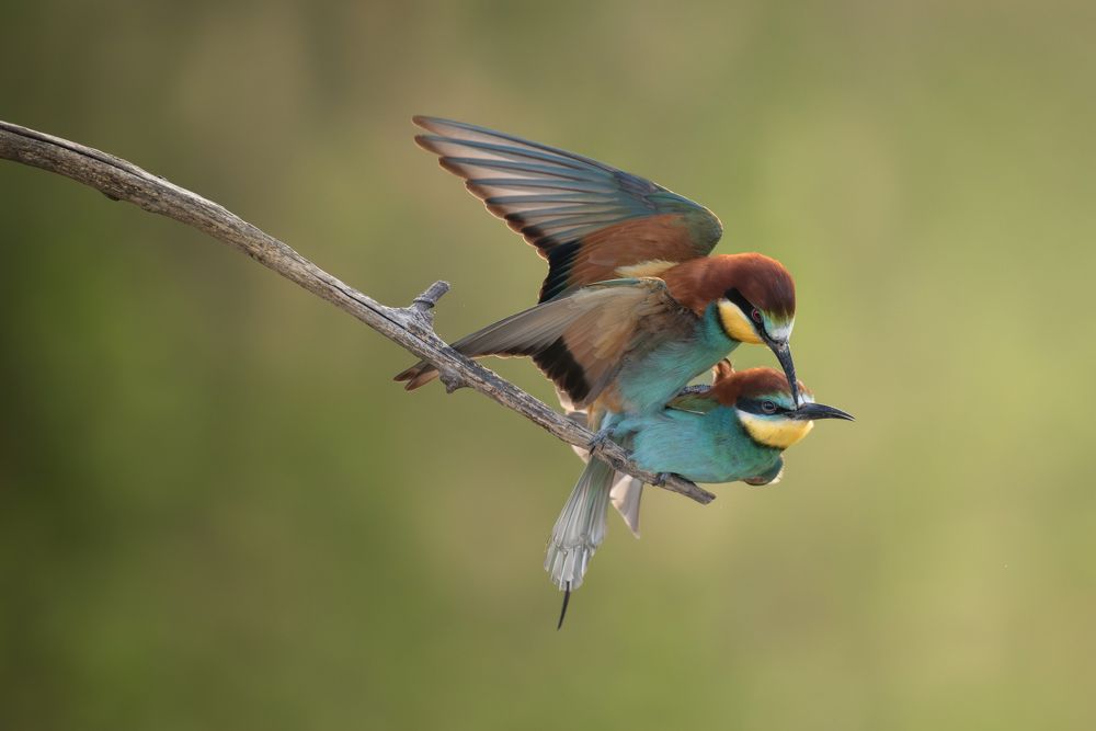 Photograph by Dejan Zakic