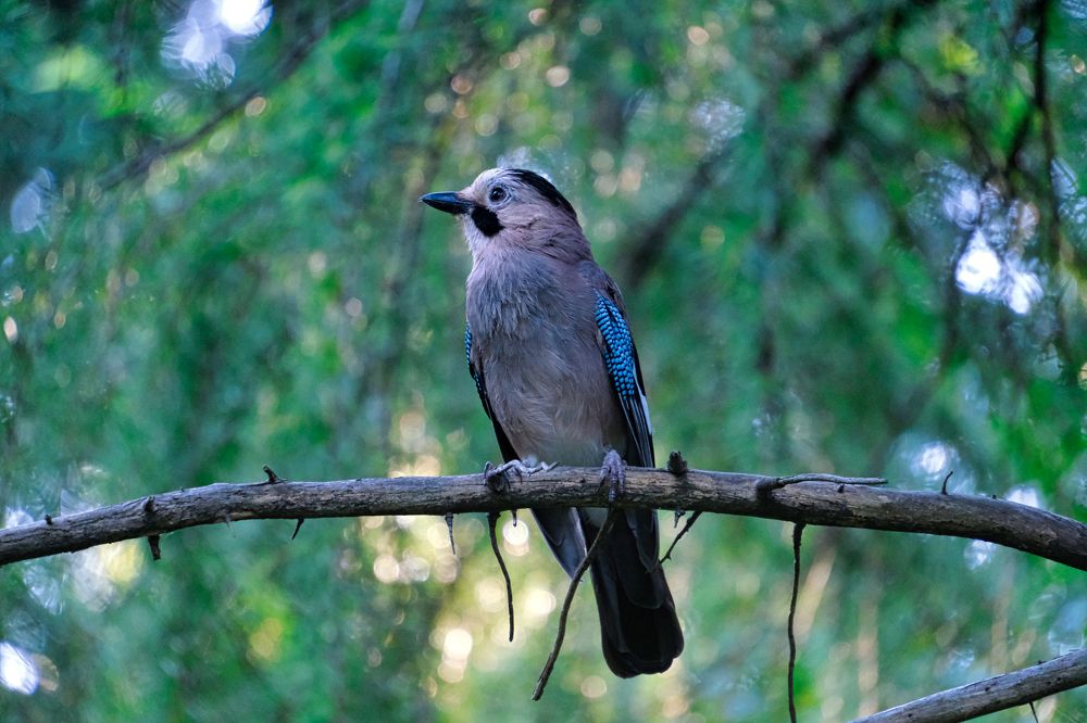 Photograph by Ильдар Балеев