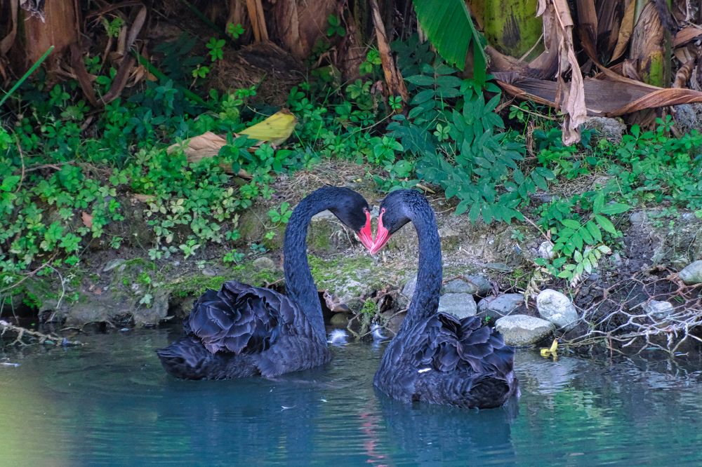 Photograph by Ильдар Балеев