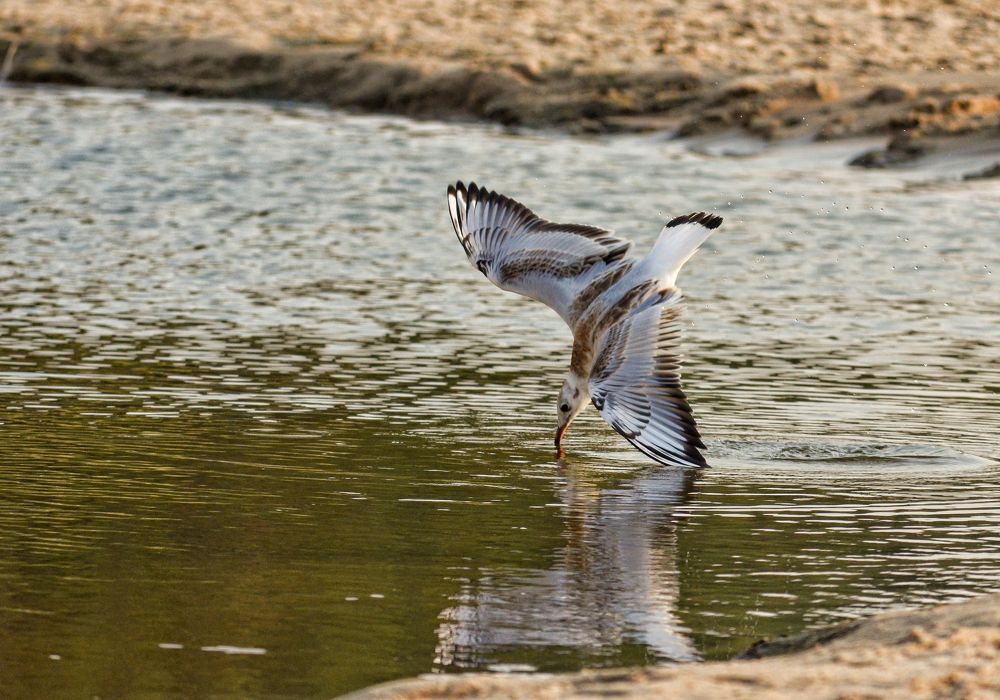 Photograph by Oleg Yashin