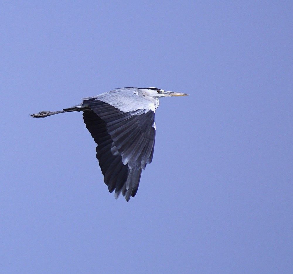 Photograph by Людмила Бутова