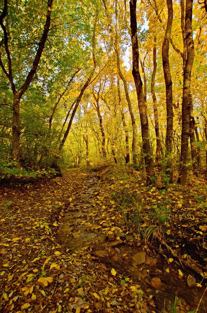 Photograph by Александр