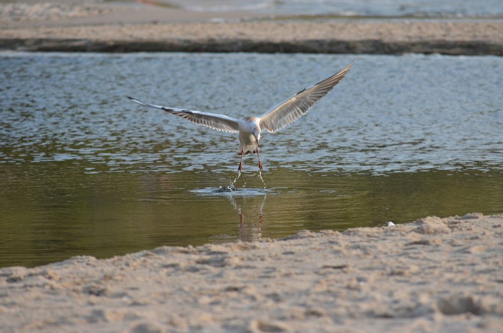 Photograph by Oleg Yashin