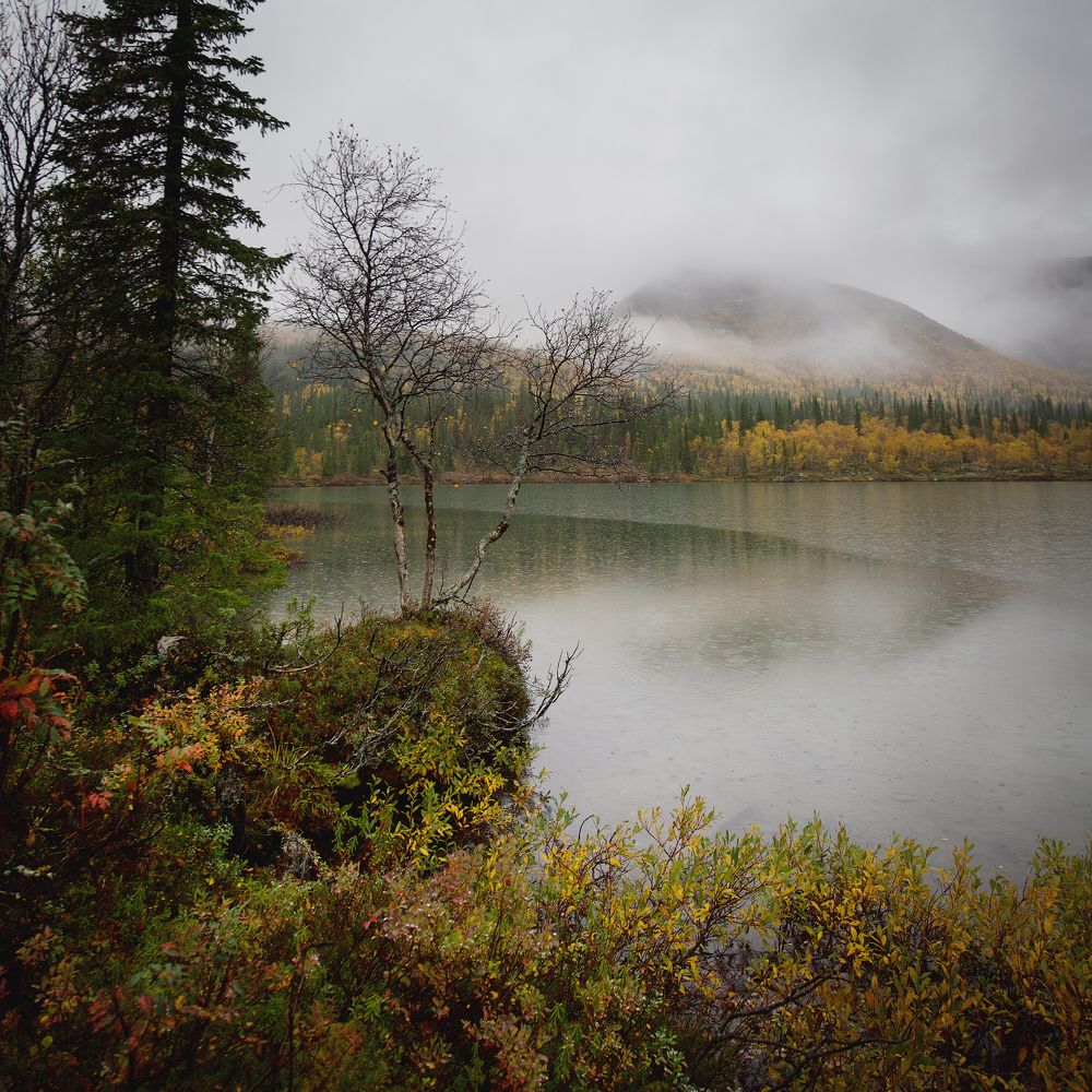 Фотография автора Ольга Белоусова